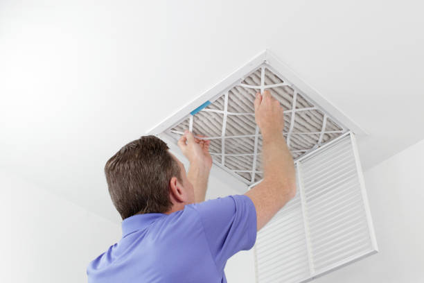 Air Duct Mold Removal in SC